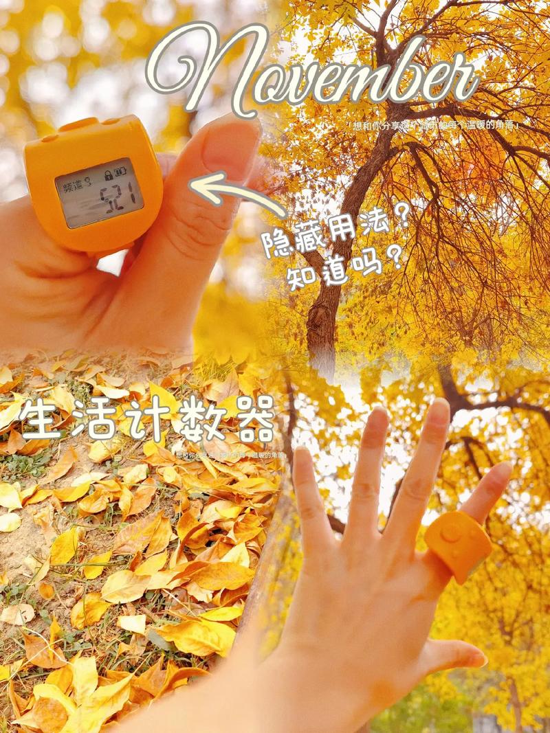 念佛計(jì)數(shù)器 修行路上的小小“幫手”